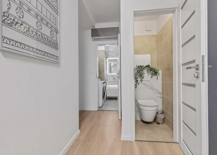 Lam Shades Of Grey - Ac ブラチスラヴァ